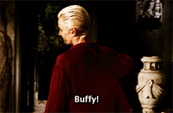 Buffy the Cat gif 1