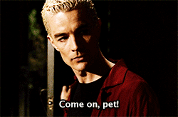 Buffy the Cat gif 5